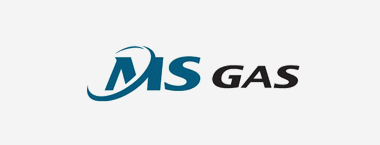 MS GAS